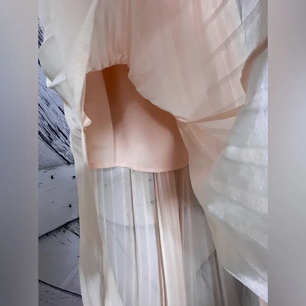 Victoria’s Secret Sheer Pleated Maxi Skirt